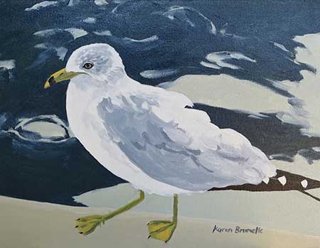 Ring-Billed Gull -  by Karen Brumelle