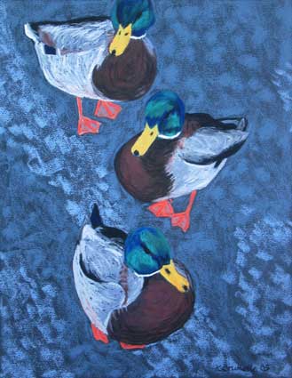 Three Ducks in a Row